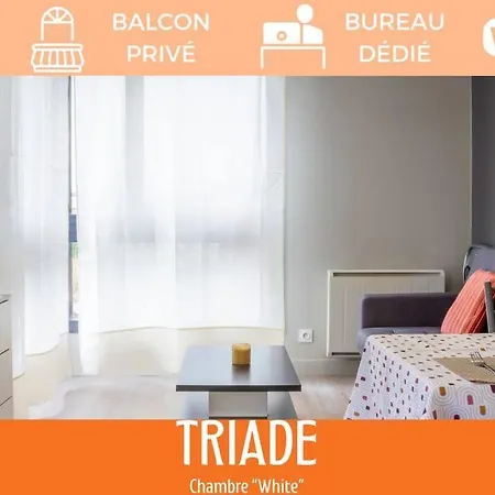 Zenbnb - Triade - Colocation - Chambre White - Wifi - Centre-ville Annemasse